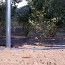 경담농장 이미지