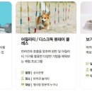 봄내동물병원 이미지