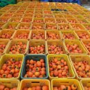 천등민박 이미지