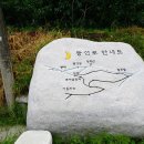 회기17 이미지