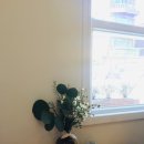 태리식당 이미지