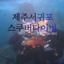 하례망장포로 | 제주 서귀포 스쿠버다이빙 내 돈 내산 리얼 후기!(예약, 비용, 이퀄라이징 꿀팁) 수영 못해도 완벽했던