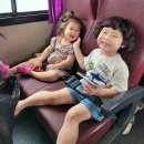 치악산황둔청소년수련원 이미지