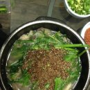 순대안경원 이미지