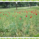 종합운동장(골프장) 이미지