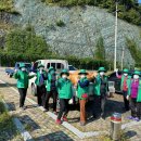 금봉저수지 이미지