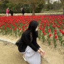 GS교동온누리점 | 강릉 여행 1일차 기록 (시외버스/봄봄호텔/정감/경포호수 튤립/쏘카 등 후기)