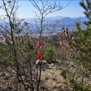 불국유치원 이미지