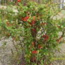 갈산공원 이미지