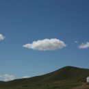 너른초원 이미지