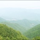 지재농장 이미지