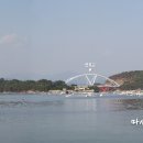 저도 비치로드 이미지
