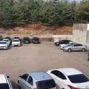 (주)토마토렌트카 이미지