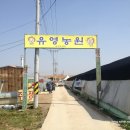 유영농장 네이버블로그