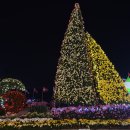 마산가고파 국화축제장 이미지