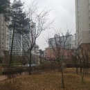 경희한샘한의원 네이버블로그