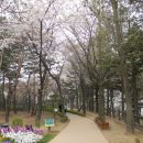 @ 서울 한복판에 우뚝 솟은 도심의 달달한 뒷동산, 남산 1바퀴 거닐기 ~~~ (남산야외식물원, 남산팔각정, 한양도성) 이미지