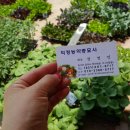 덕정농약종묘사 이미지