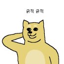 미믹 이미지