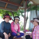 하평농장 이미지