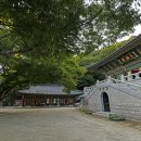 연촌길 네이버블로그
