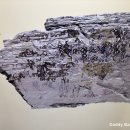 천산무관 이미지