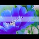 강*우 - 안양시 동안구 동편로 80 | 강*우