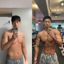 팀 보노 이미지