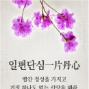 빨간정성 이미지