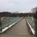 말티와 꼬꼬 네이버블로그