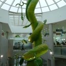 배꼽노래연습장 이미지