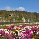 도담정원 이미지