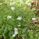 영회원약수터 이미지