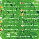 (유)이엠푸드 | 마시는 유산균 추천 유정룡 효소과학 유산균 발효원액 먹고 있어요