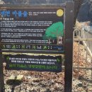 노거수회