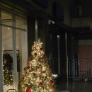 루미노 | 신논현 크리스마스 분위기🎄 연말 연초 데이트&amp;모임 맛집 "루미노 다이닝바" 내돈내산 후기