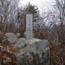 남산리 입석 이미지