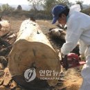 해성공방 이미지