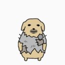 비마트 | 비마트 일일크루 알바 후기 / 꿀팁 착장