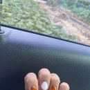 리플리히네일