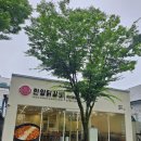 [광주 풍암동 맛집] 알찬 점심 특선으로 즐긴 찐 닭갈비 맛집 '한양닭갈비' 솔직후기✨️