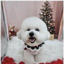 편한미용 이미지