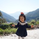 천태산장 이미지