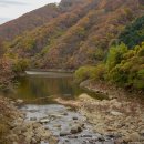 묵계초등학교 이미지