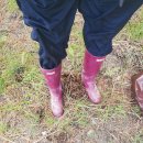 송진목장 이미지