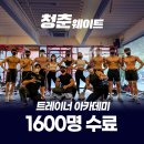 청춘 P.T 이미지