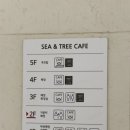 씨앤트리 | [ 부산 / 기장 ] 🌊 오션뷰 감성카페 “씨앤트리” 방문 후기 🌿