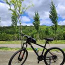 활명한방병원 이미지