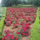 도담공원 이미지