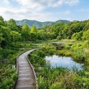 10/1(목) [선운사 꽃무릇+학원농장 메밀꽃+운곡람사르습지] - 접수중 이미지